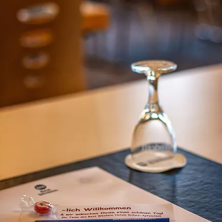 Otel Western Erfurt-apfelstaedt 4*